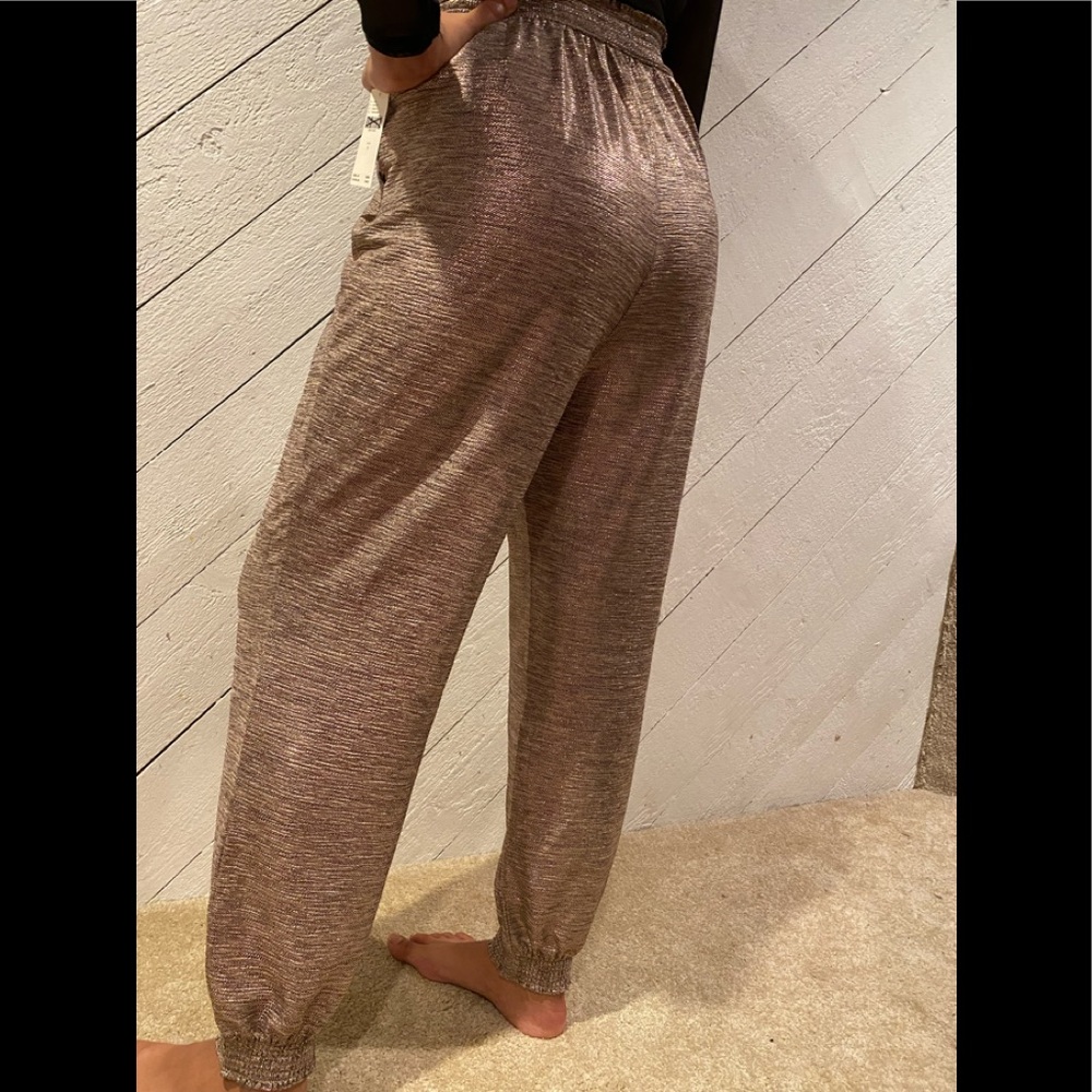 Anthropologie Brown Track Pants